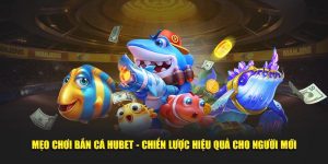 Mẹo Chơi Bắn Cá Hubet - Chiến Lược Hiệu Quả Cho Người Mới